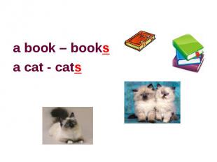 a book – booksa cat - cats