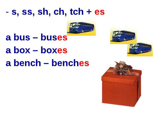 s, ss, sh, ch, tch + esa bus – busesa box – boxesa bench – benches