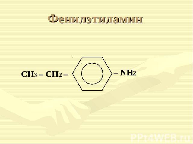 Фенилэтиламин CH3 – CH2 – – NH2