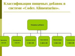 Классификация пищевых добавок в системе «Codex Alimentarius». 