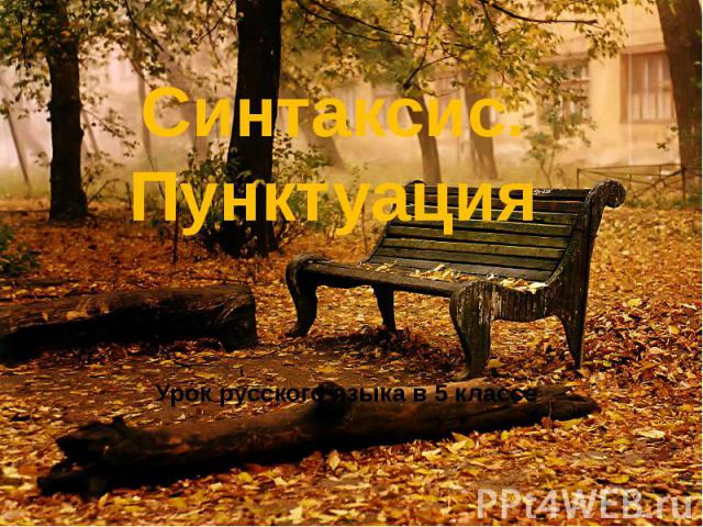 Синтаксис. ПунктуацияУрок русского языка в 5 классе