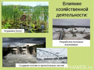 Влияние хозяйственной деятельности: Осушение болот Разработка полезных ископаемы