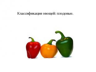 Классификация овощей: плодовые.