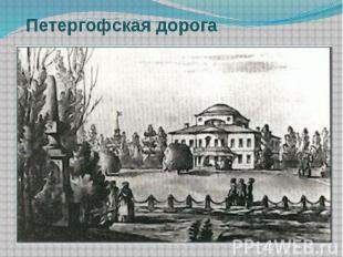 Петергофская дорога