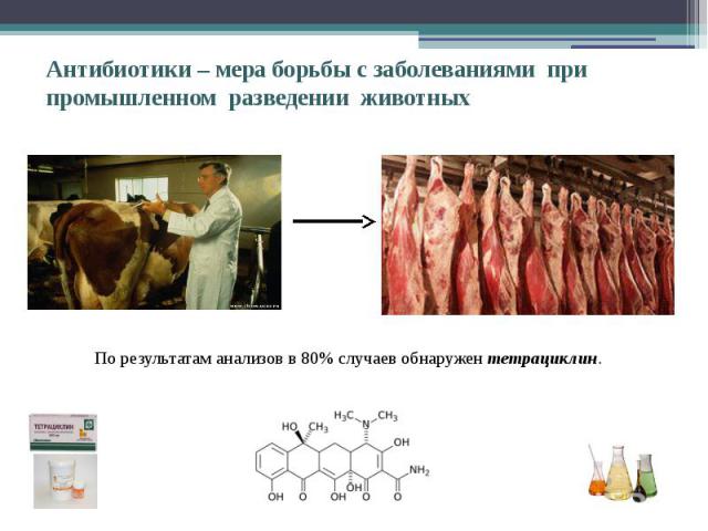Антибиотики – мера борьбы с заболеваниями при промышленном разведении животных По результатам анализов в 80% случаев обнаружен тетрациклин.