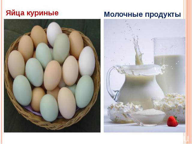 Яйца куриные Молочные продукты