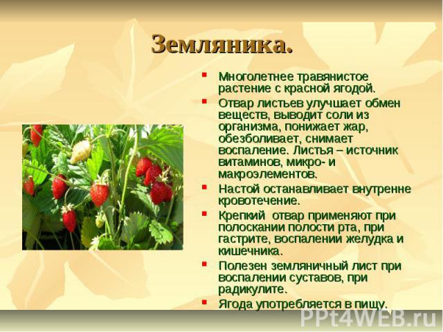 Земляника. Многолетнее травянистое растение с красной ягодой.Отвар листьев улучшает обмен веществ, выводит соли из организма, понижает жар, обезболивает, снимает воспаление. Листья – источник витаминов, микро- и макроэлементов.Настой останавливает в…