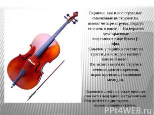 Скрипки, как и все струнные смычковые инструменты, имеют четыре струны. Корпус е