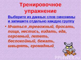 Тренировочное упражнение Выберите из данных слов синонимы и запишите отдельно ка