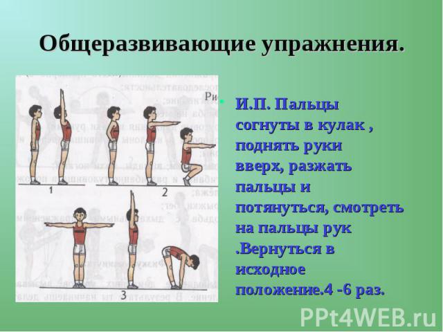 Общеразвивающие упражнения. И.П. Пальцы согнуты в кулак , поднять руки вверх, разжать пальцы и потянуться, смотреть на пальцы рук .Вернуться в исходное положение.4 -6 раз.