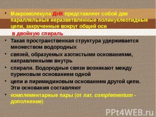 Макромолекула ДНК представляет собой две параллельные неразветвленные полинуклео