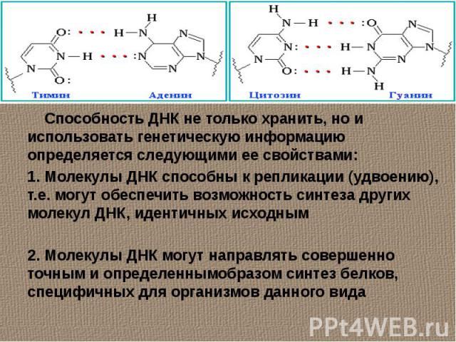 Способность ДНК не только хранить, но и использовать генетическую информацию определяется следующими ее свойствами:1. Молекулы ДНК способны к репликации (удвоению), т.е. могут обеспечить возможность синтеза других молекул ДНК, идентичных исходным 2.…