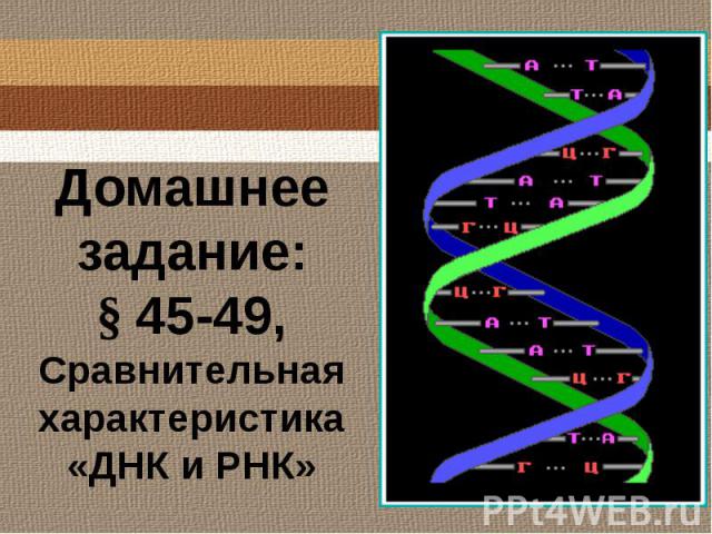 Домашнее задание:§ 45-49, Сравнительная характеристика «ДНК и РНК»