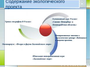 Содержание экологического проекта Уроки географии 8-9 класс Элективный курс 9 кл