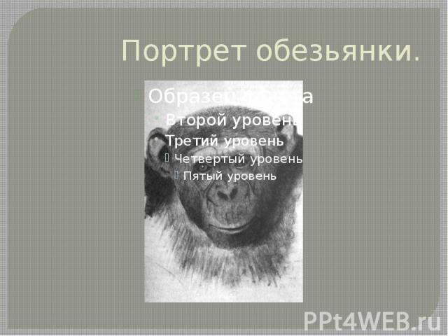 Портрет обезьянки.