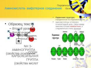 Аминокислота- амфотерное соединение NH 3- АМИНОГРУППА(свойства основания - COOH