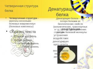 Четверичная структура белка Четвертичная структура - агрегаты нескольких белковы