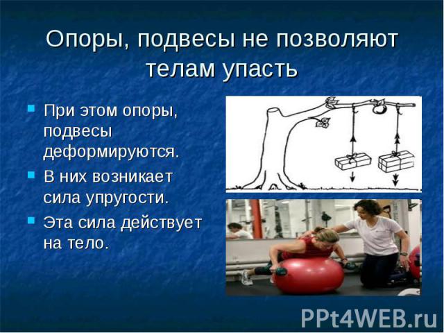 Опоры, подвесы не позволяют телам упастьПри этом опоры, подвесы деформируются. В них возникает сила упругости.Эта сила действует на тело.