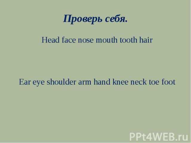 Проверь себя.Head face nose mouth tooth hairEar eye shoulder arm hand knee neck toe foot