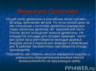 Внимание! Проблема! Общий запас древесины в российских лесах огромен - 80 млрд.