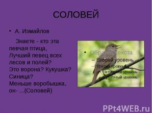 СОЛОВЕЙА. Измайлов Знаете - кто эта певчая птица,Лучший певец всех лесов и полей