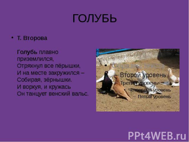 ГОЛУБЬТ. ВтороваГолубь плавно приземлился,Отряхнул все пёрышки,И на месте закружился –Собирая, зёрнышки.И воркуя, и кружасьОн танцует венский вальс.