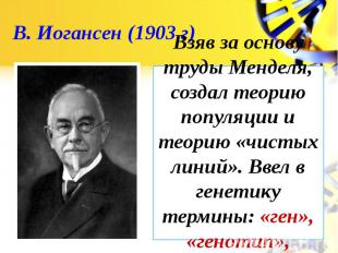 В. Иогансен (1903 г)Взяв за основу труды Менделя, создал теорию популяции и теор