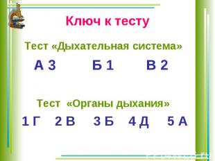 Ключ к тесту Тест «Дыхательная система» А 3 Б 1 В 2 Тест «Органы дыхания» 1 Г 2