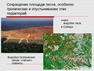 Сокращение площади лесов, особенно тропических и опустынивание этих территорий.