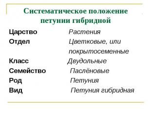 Систематическое положение петунии гибридной Царство РастенияОтдел Цветковые, или