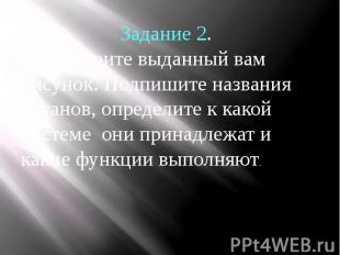 Задание 2. Рассмотрите выданный вам рисунок. Подпишите названия органов, определ