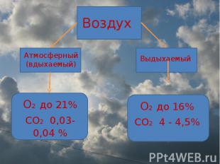 Воздух Атмосферный (вдыхаемый) О2 до 21%СО2 0,03-0,04 % Выдыхаемый О2 до 16%СО2