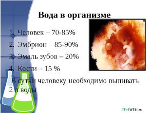 Вода в организме Человек – 70-85%Эмбрион – 85-90%Эмаль зубов – 20%Кости – 15 % В