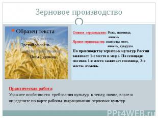 Зерновое производство Озимое зерноводство: Рожь, пшеница, ячменьЯровое зерноводс