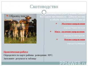 Скотоводство Скотоводство (КРС) имеет самую большую численность (29млн.голов) и