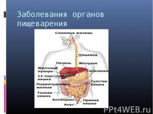 Заболевания органов пищеварения
