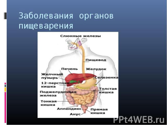 Заболевания органов пищеварения
