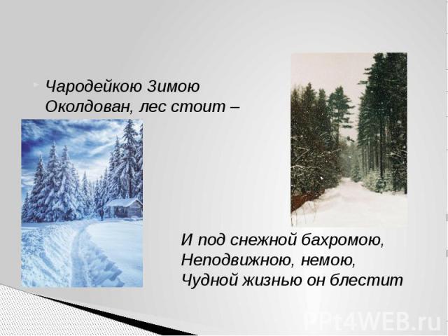 Чародейкою Зимою Околдован, лес стоит – И под снежной бахромою, Неподвижною, немою, Чудной жизнью он блестит