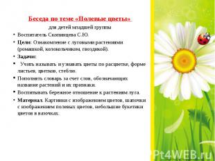 Беседа по теме «Полевые цветы» для детей младшей группы Воспитатель Скопинцева С