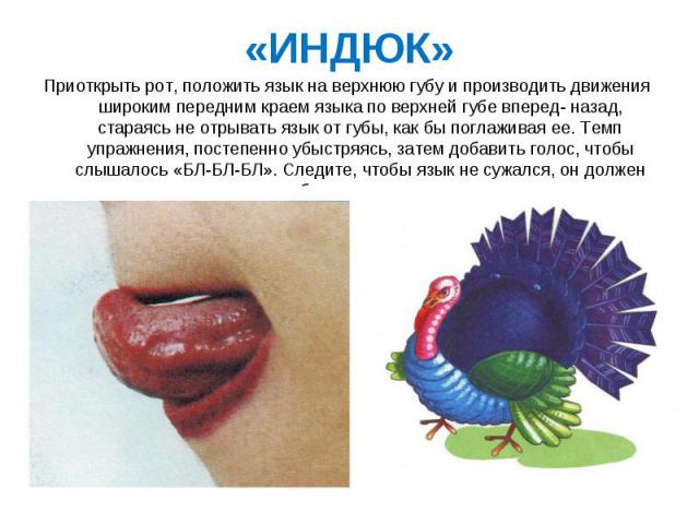 Приоткрыть рот, положить язык на верхнюю губу и производить движения широким передним краем языка по верхней губе вперед- назад, стараясь не отрывать язык от губы, как бы поглаживая ее. Темп упражнения, постепенно убыстряясь, затем добавить голос, ч…