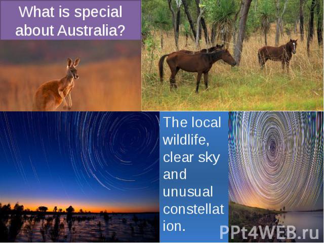 What is special about Australia? The local wildlife, clear sky and unusual constellation.