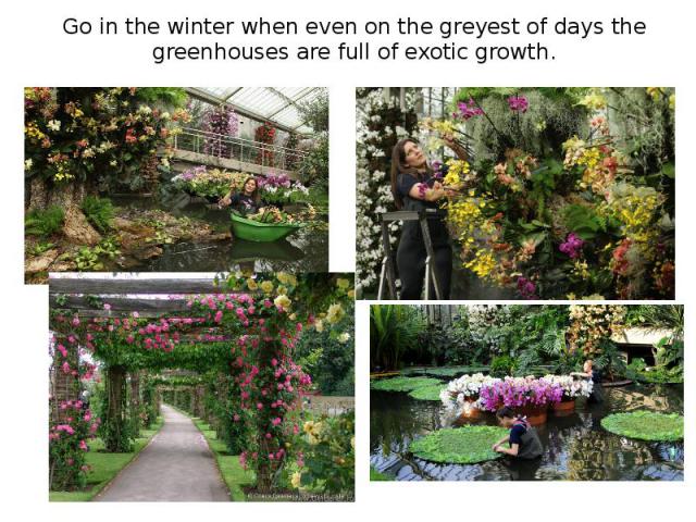 Go in the winter when even on the greyest of days the greenhouses are full of exotic growth.