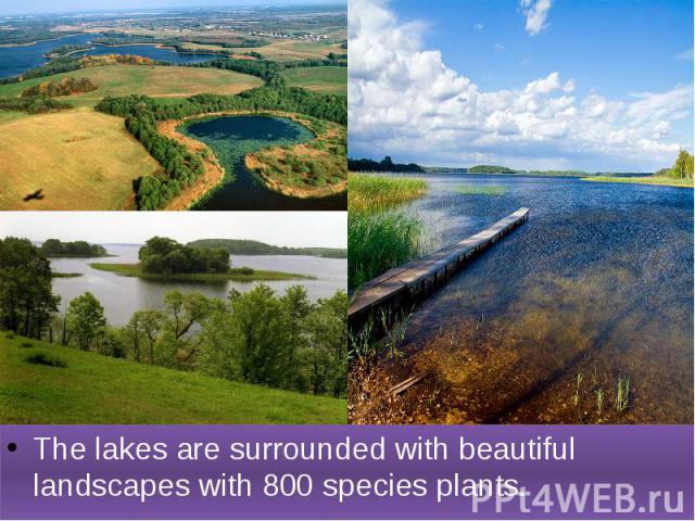 The lakes are surrounded with beautiful landscapes with 800 species plants.