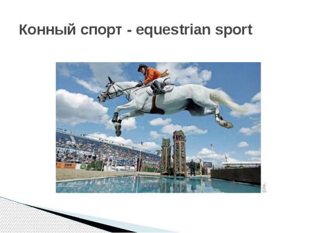 Конный спорт - equestrian sport