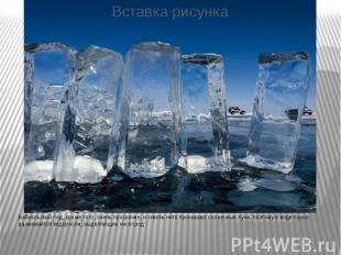 Байкальский лёд, кроме того, очень прозрачен, и сквозь него проникают солнечные