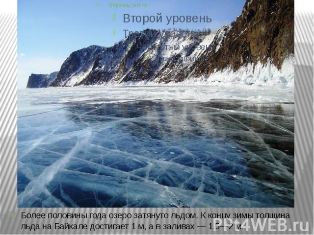 Более половины года озеро затянуто льдом. К концу зимы толщина льда на Байкале достигает 1 м, а в заливах — 1,5—2 м.