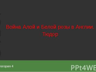 Категория 4 Война Алой и Белой розы в Англии. Тюдор