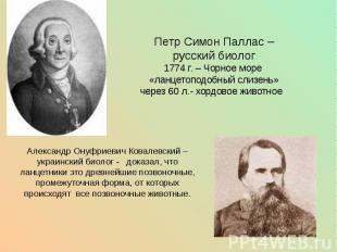 Петр Симон Паллас – русский биолог 1774 г. – Чорное море «ланцетоподобный слизен