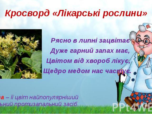 Кросворд «Лікарські рослини» Рясно в липні зацвітає Дуже гарний запах має, Цвітом від хвороб лікує, Щедро медом нас частує. Липа – її цвіт найпопулярніший лікувальний протизапальний засіб.