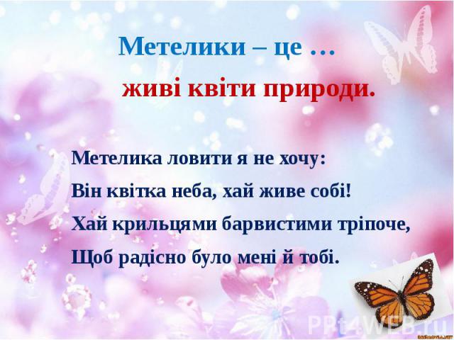 Метелики – це … живі квіти природи. Метелика ловити я не хочу: Він квітка неба, хай живе собі! Хай крильцями барвистими тріпоче, Щоб радісно було мені й тобі.